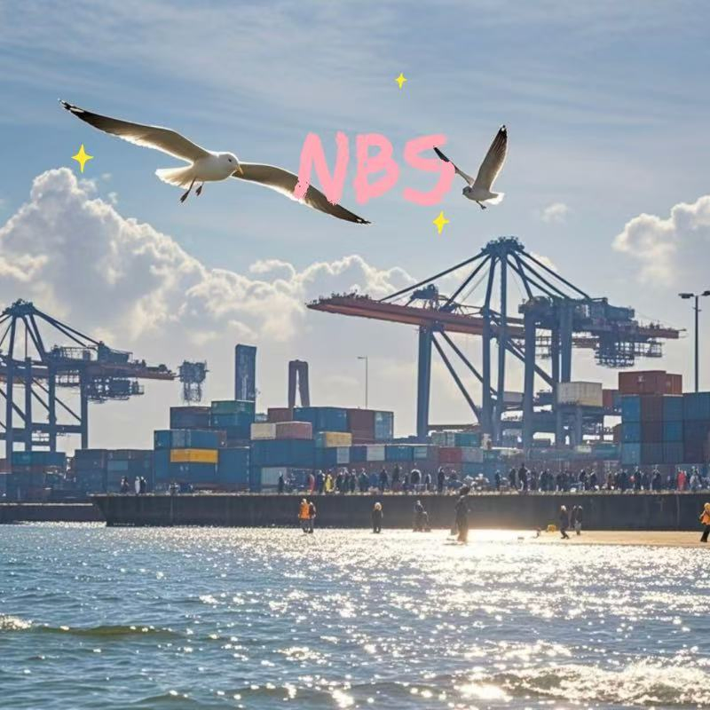Jordan Sea Freight Shipping Services From China/Fob/DDP/DDU, CIF Freight Forwarder, FCL/LCL Freight Shipping in China to Aqaba