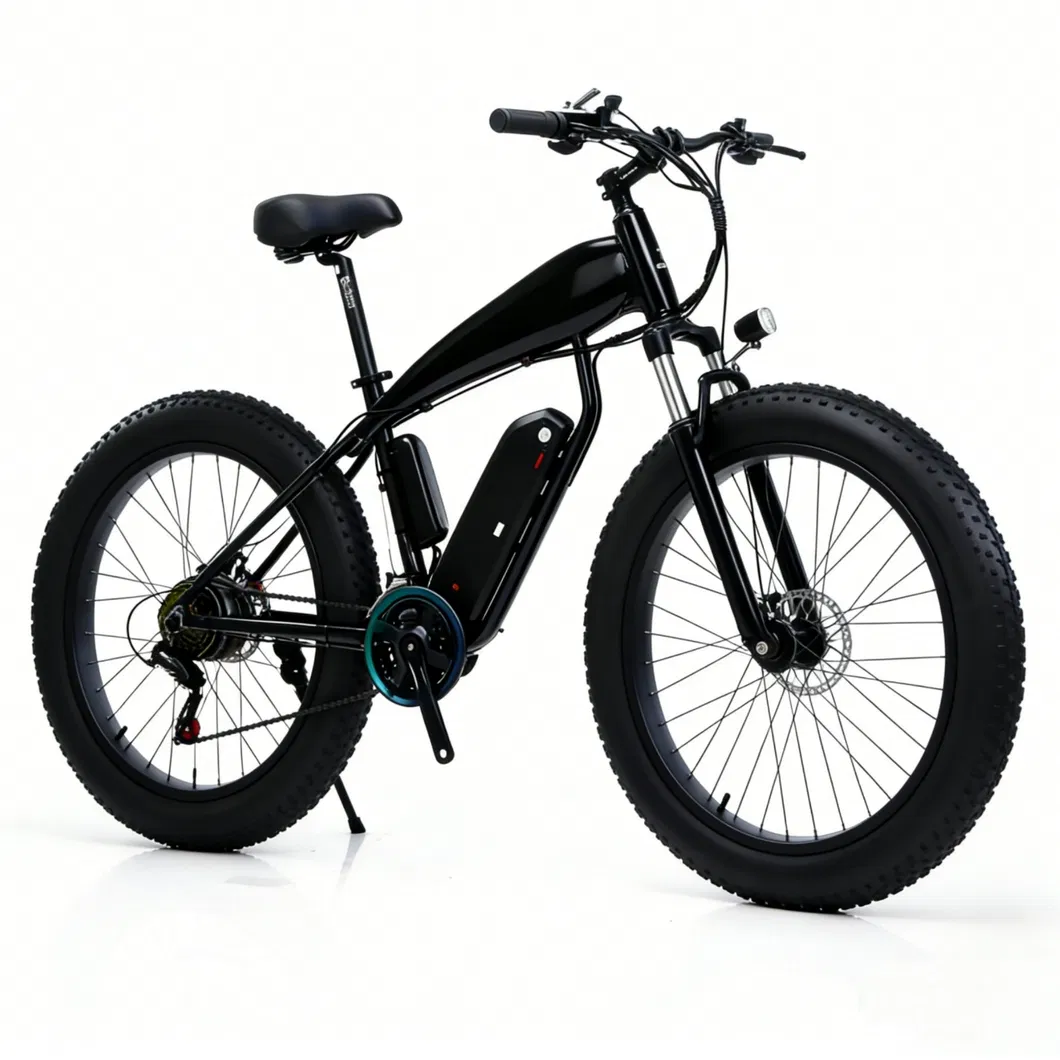 E-Bike Details 8