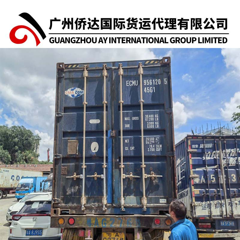 Air Freight Air Cargo From Shenzhen China to Dubai by DHL/TNT/UPS/FedEx/Sf Express Delivery