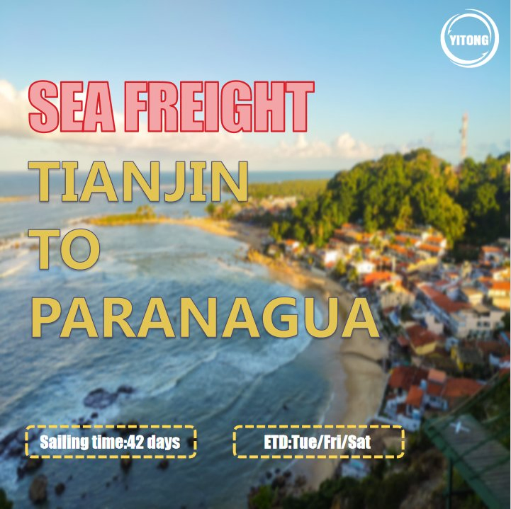 Forwarder Shipping Agent Full or Less Than Container Load DDU DDP Sea Freight Shipping From China to Paranagua Brazil