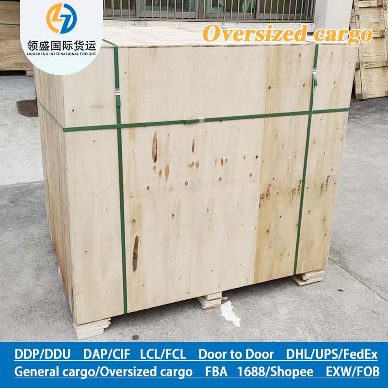 RO/RO Oog Heavy Cargo DDP Transport to Germany, Safe Sea Freight Transportation