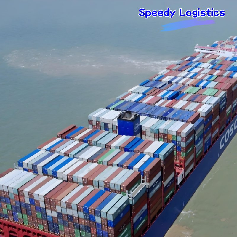DDP Sea Freight to UK, Italy, France, Germany, Spain Sea Shipping Agent Logistics