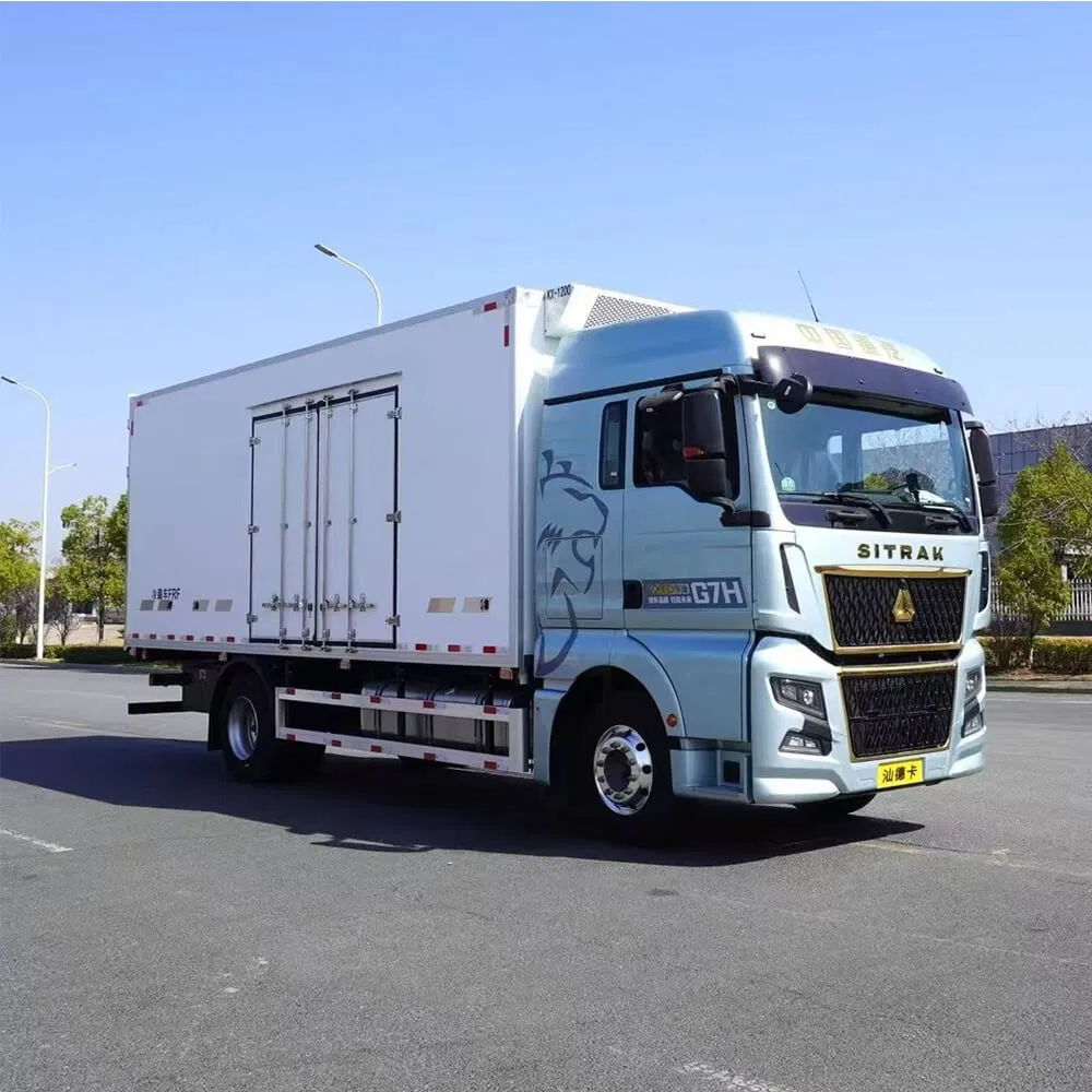 Professional Cold Chain Transport Vehicles - Insulated Food Truck Van for Fresh-Keeping Delivery Temperature-Controlled Refrigerated Transport Solutions