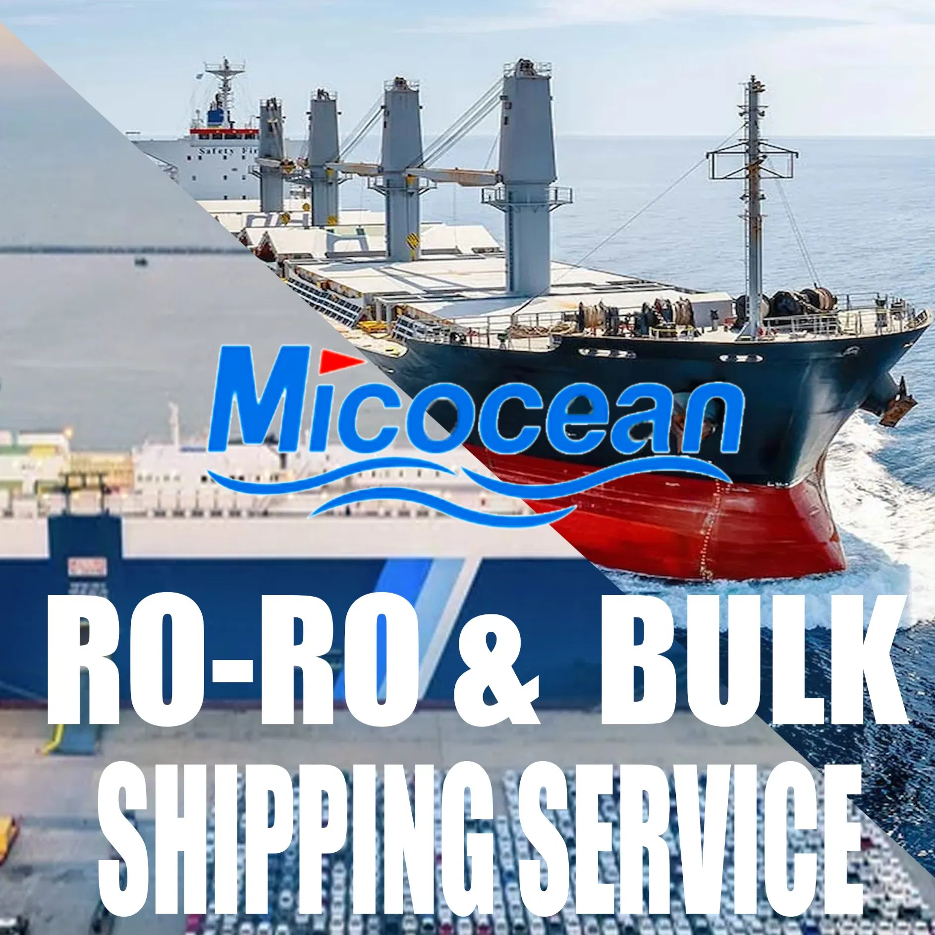 Bulk Shipping / Roro Shipping Freight Forwarder From China to The Middle East/Africa/Asia / Europe/South America etc.