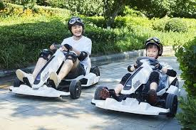 Y Ninebot Seg Way Xiaomi Ride Cheap Gokart Karts Karting Motor Adults Lamborghini Kit off Road Wheels Go-Kart Electric Go Kart Ninebot S Electric Scooter