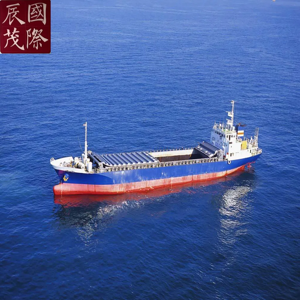 Sea Freight From China Main Port to Sharjah