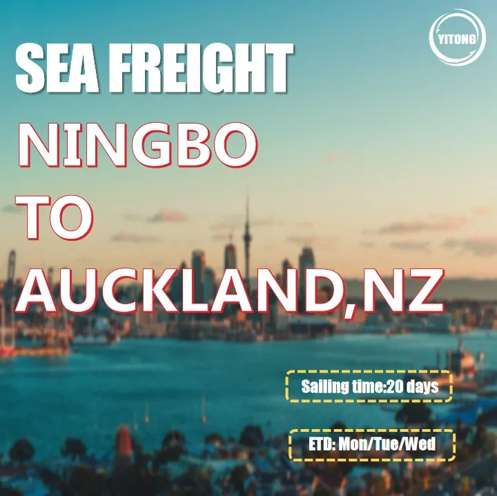 Ocean Freight