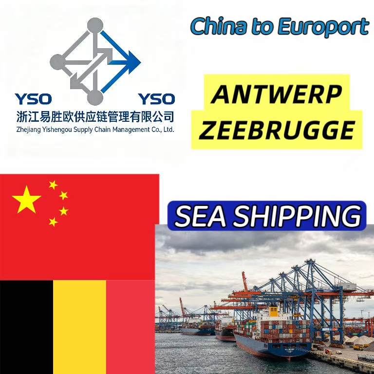 The Cheapest Consolidation From China to Europort Sea Freight