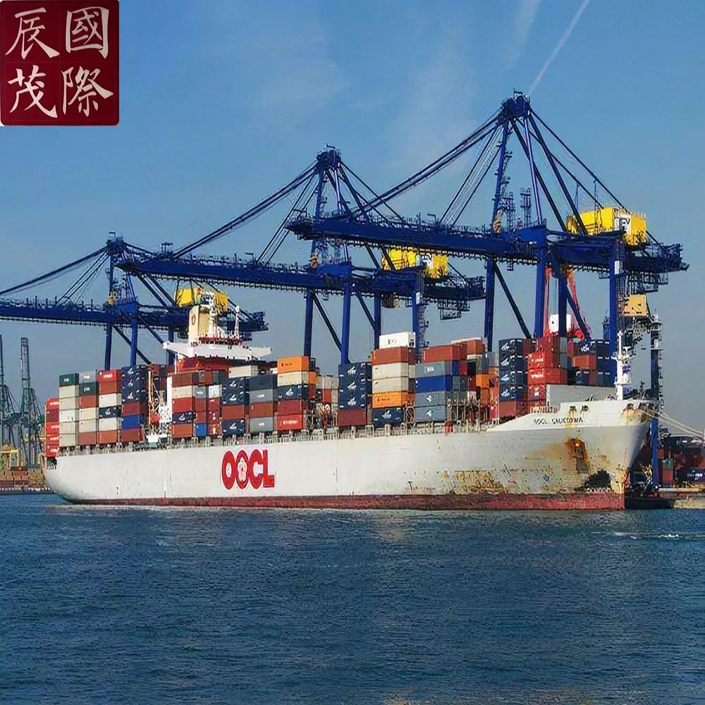 Sea Freight From China Main Port to Sharjah