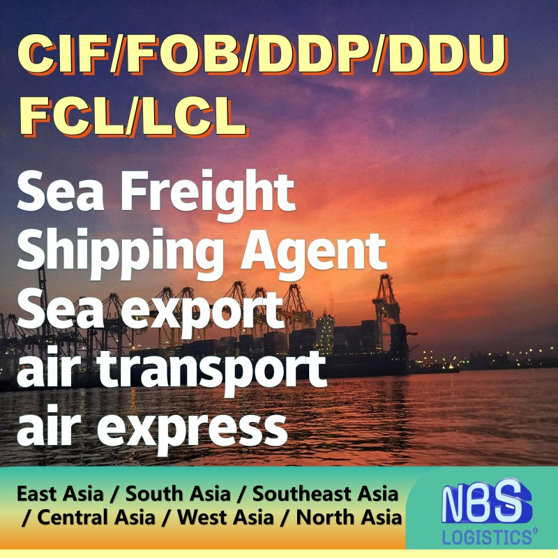 Cyprus Sea Freight Shipping Services Door-to-Door Customs Clearance From China/Fob/DDP/DDU to Cyprus, CIF Servies in China, FCL/LCL Freight Shipping in China