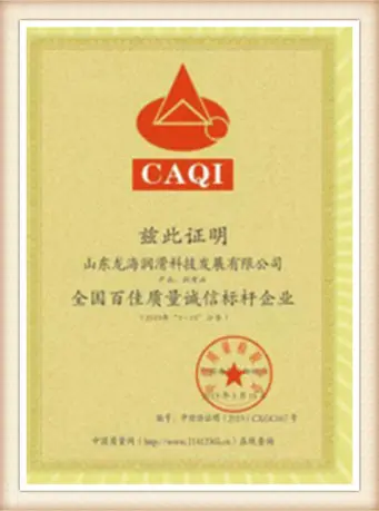 Longhai industry excellence certification