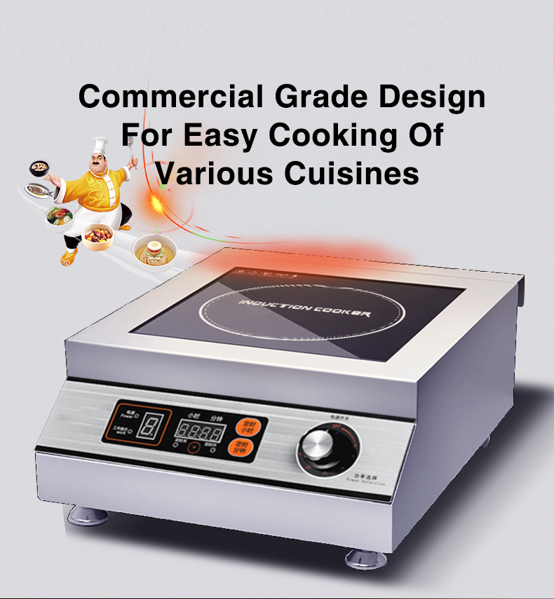 Commercial Induction Details 1