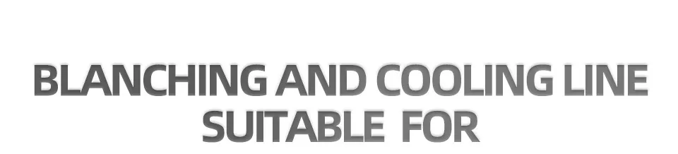 Heavy Duty Food Vegetable Cooking Steaming Line Thermal Blanching Boiler Steam Bleacher Machine for Onion Carrot Cucumber Processing Plant Factory Use