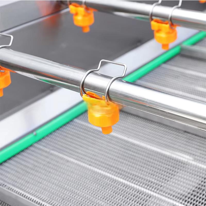 Vegetable Washing Machine Food Equipment Fruit Cleaning Machine