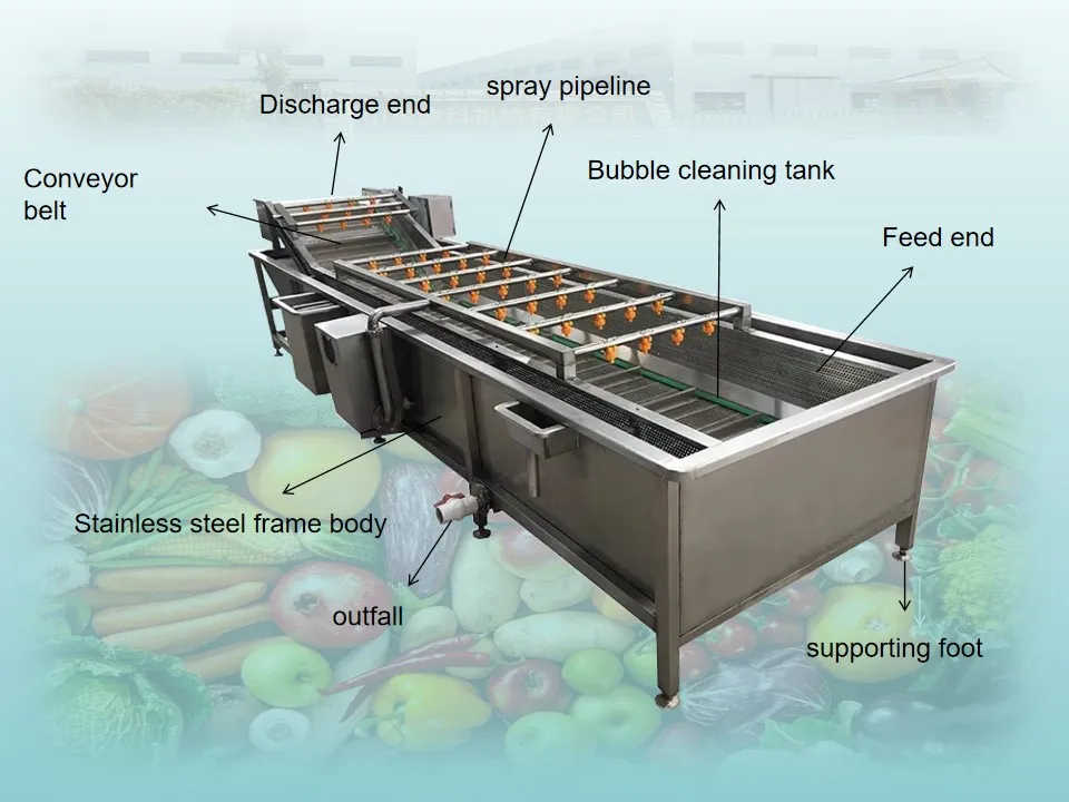Source Manufacturer Vegetable Cleaning Fruit Washing Machine for Efficient Vegetable Cleaning in Central Kitchen Preparation