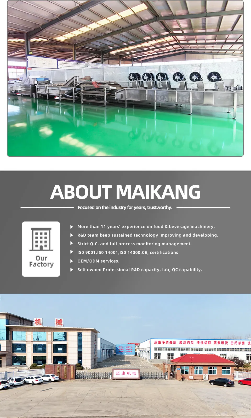 Heavy Duty Food Vegetable Cooking Steaming Line Thermal Blanching Boiler Steam Bleacher Machine for Onion Carrot Cucumber Processing Plant Factory Use
