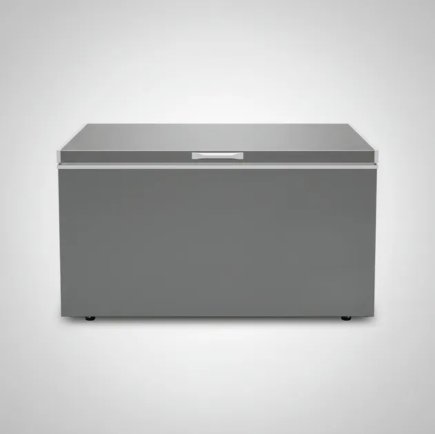 Commercial Chest Freezer Image 2