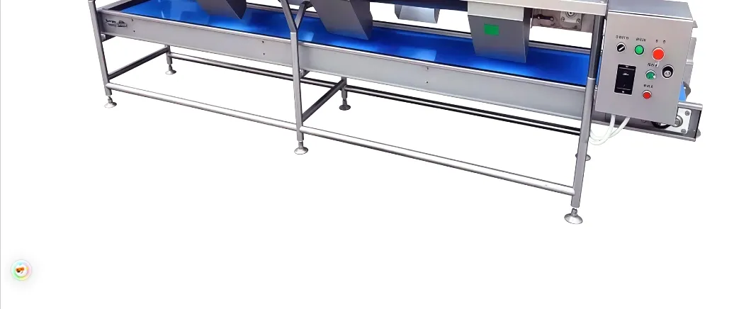 Premium Vegetable Cutting and Sorting Worktable for Efficient Food Prep