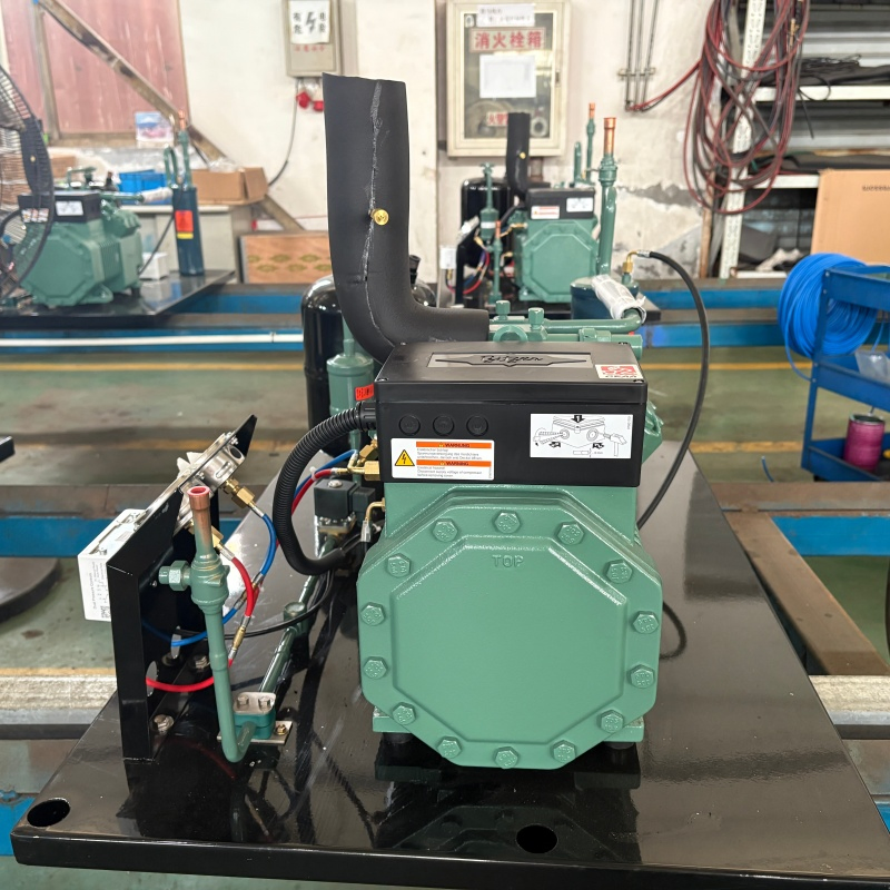 Condenser Unit Compressor for Cold Room Cooling and Freezers