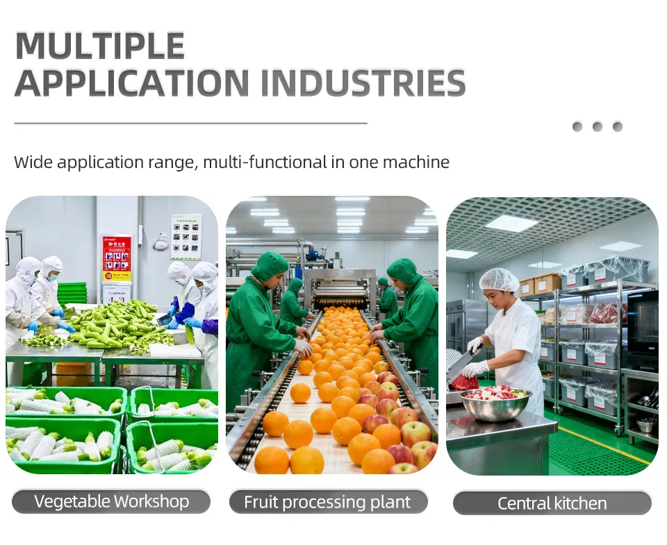 Heavy Duty Food Vegetable Cooking Steaming Line Thermal Blanching Boiler Steam Bleacher Machine for Onion Carrot Cucumber Processing Plant Factory Use