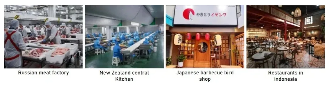 Various Skewered Food Products