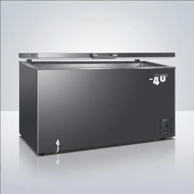Commercial Chest Freezer Image 3