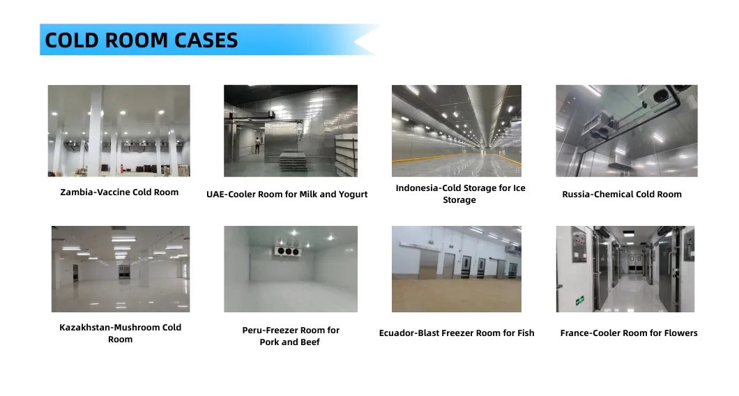 Custom Size High-Temp Commercial Cold Room Unit Fresh-Keeping Refrigeration for Supermarkets Restaurants