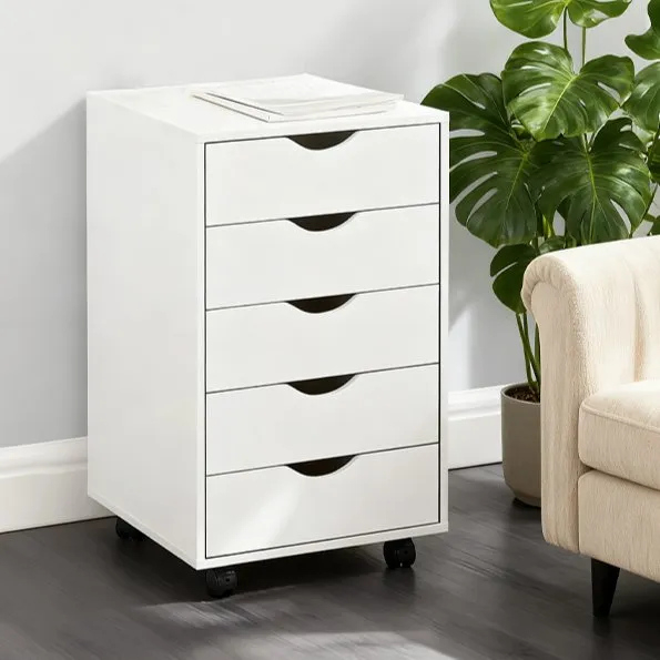 File Cabinet 4