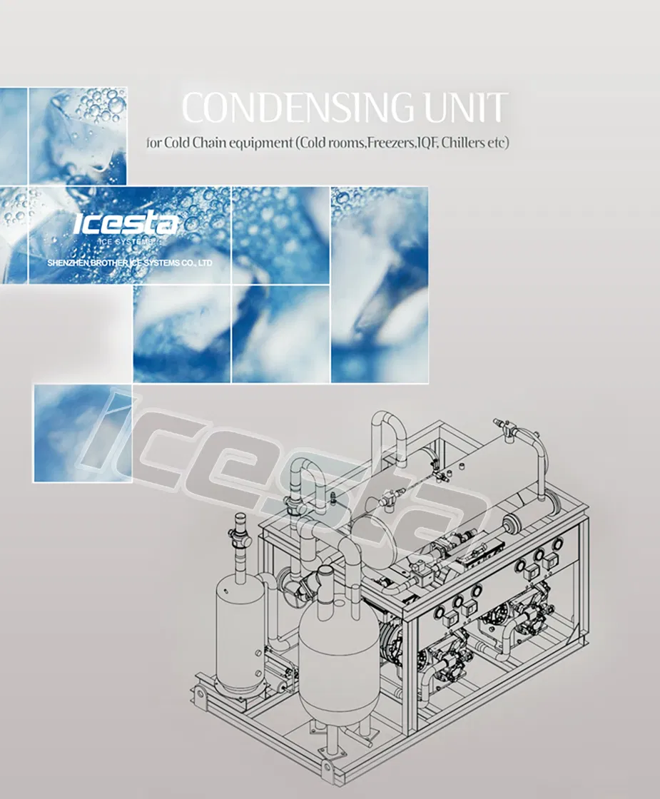 Air/Water Cooled Parallel Rack Condensing Unit for Contact Plate Freezer