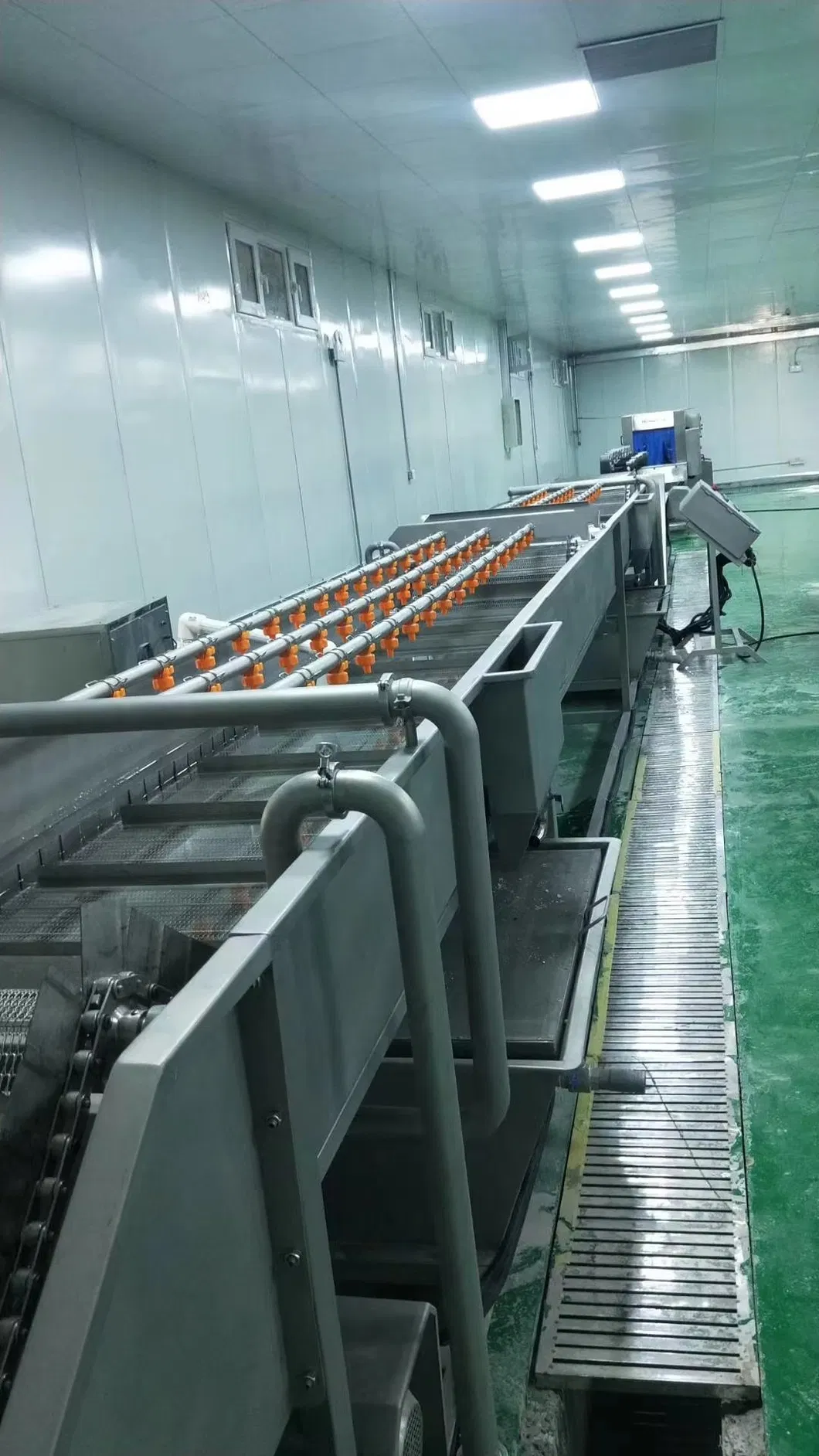 Vegetable Washing Machine Food Equipment Fruit Cleaning Machine