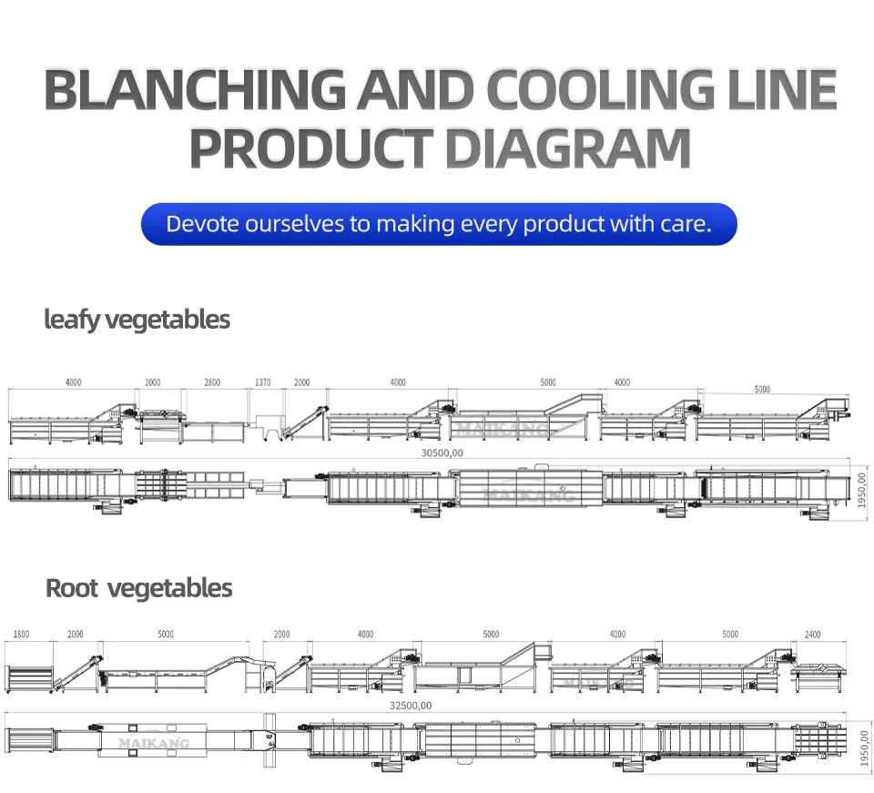 Heavy Duty Food Vegetable Cooking Steaming Line Thermal Blanching Boiler Steam Bleacher Machine for Onion Carrot Cucumber Processing Plant Factory Use