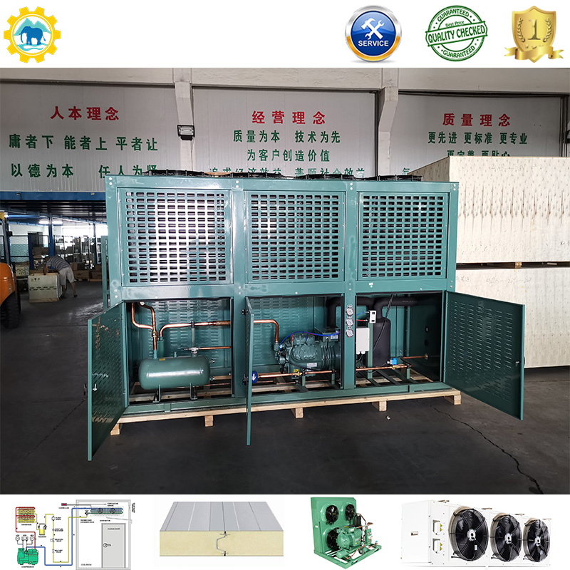 10 Ton Emerson Compressor Condensing Unit Air-Cooled Refrigeration Unit for Cold Room Blast Freezer Restaurants