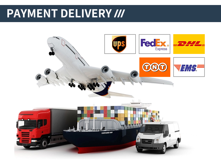 Shipping Logistics