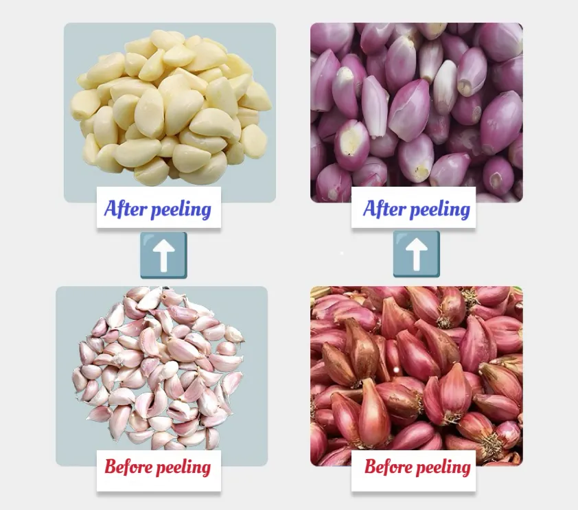 Multifunctional Vegetable Machine for Efficient Garlic Processing and Preparation