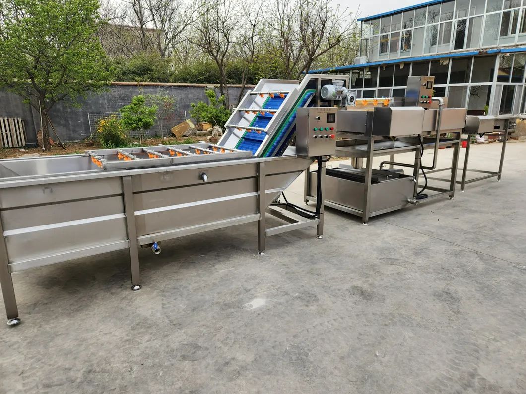 Citrus Cleaning Machine for Superior Various Potato Carrot Cassava Preparation Processes