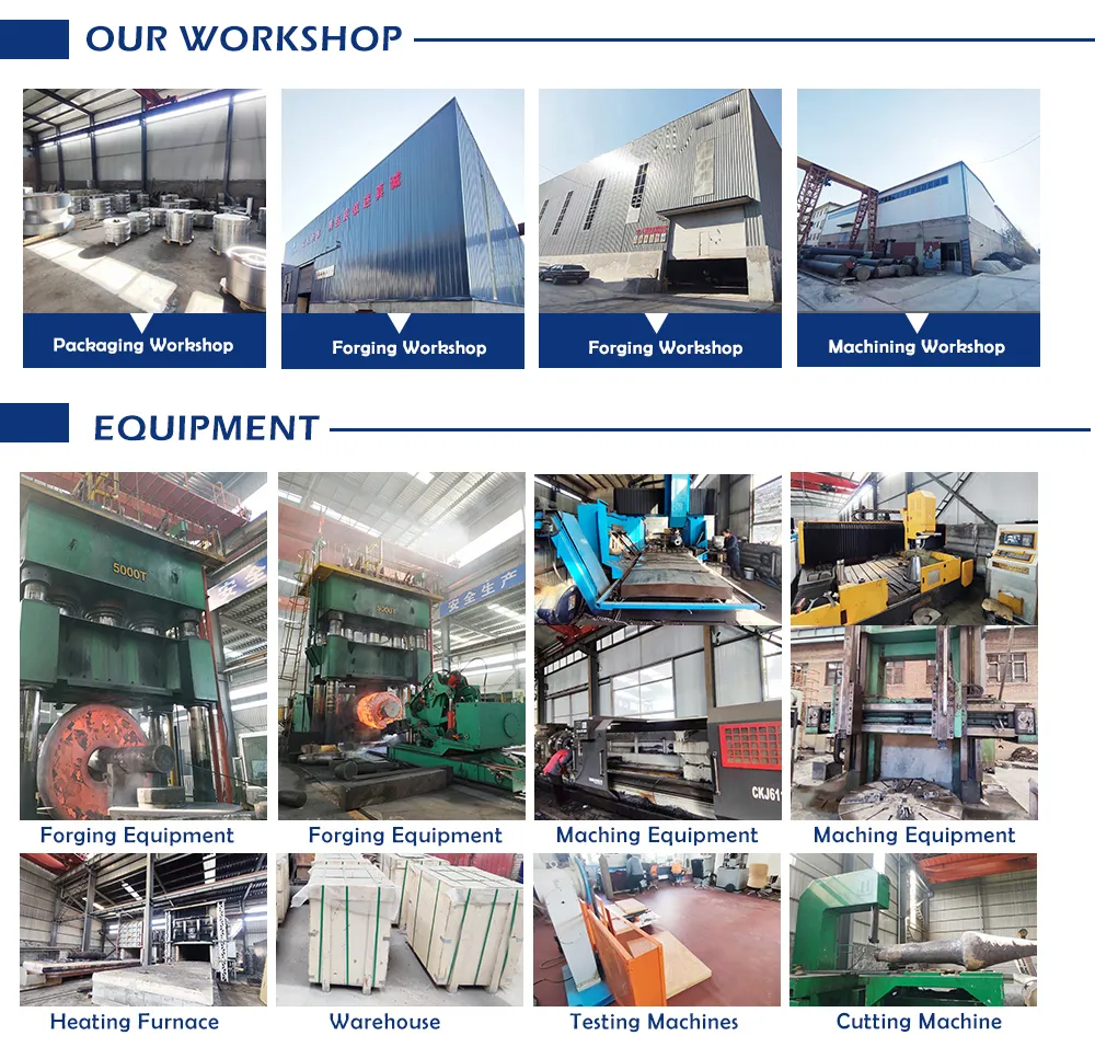 Processing Equipment