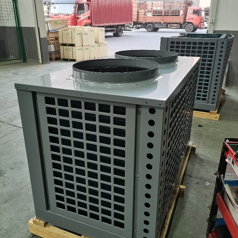 Walk in Cooler Monoblock Unit Ccondensing Refrigeration Unit for Cold Room Freezer