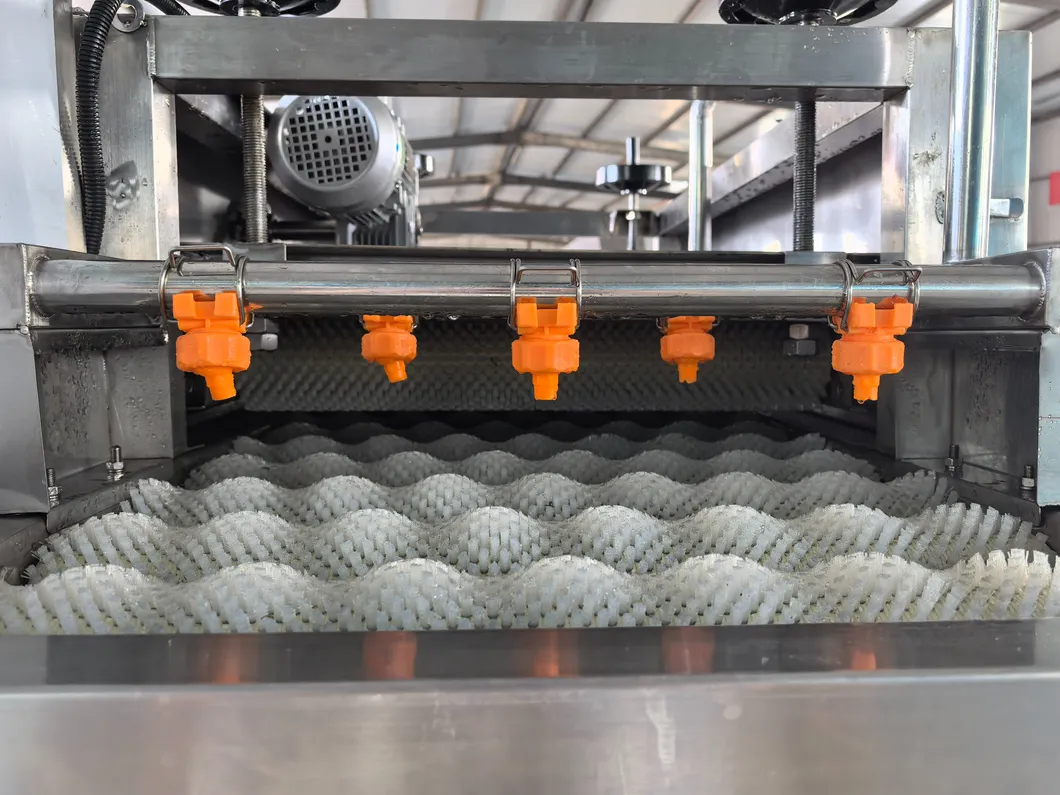 Orange Grape Cleaning Machine for Superior Various Potato Carrot Cassava Preparation Processes