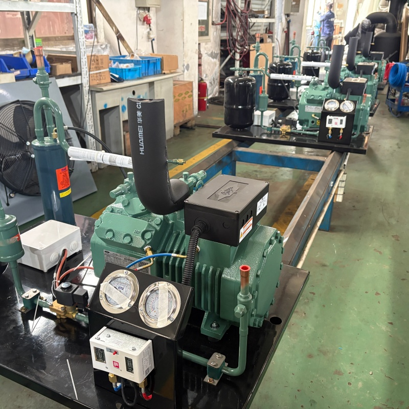 Condenser Unit Compressor for Cold Room Cooling and Freezers