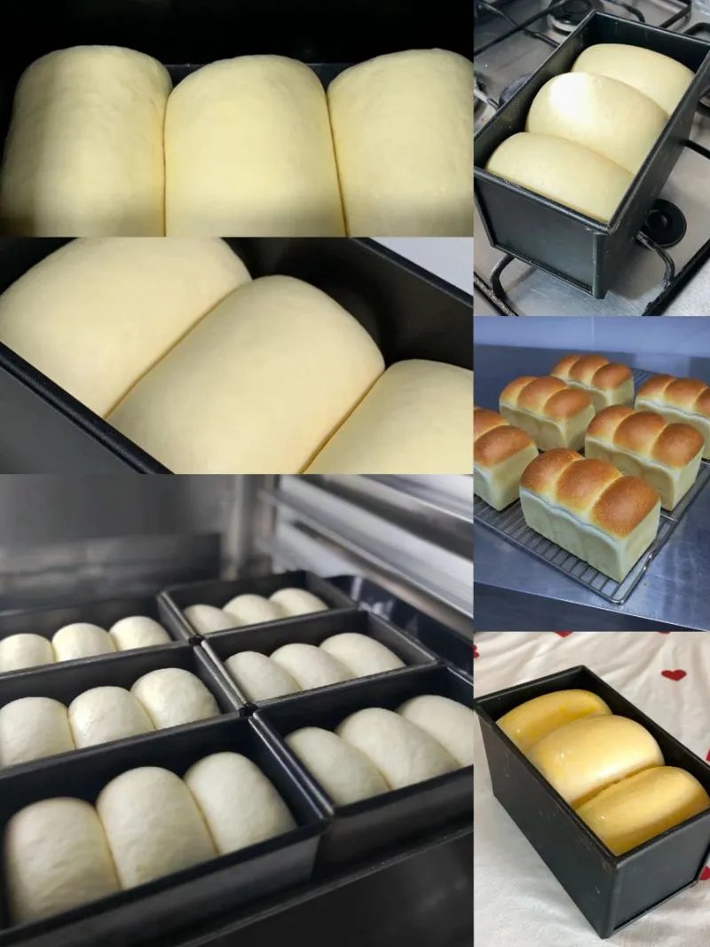 Baking Equipment for Dough Processing Making Toast Buns Bread Toast Shaping Machine