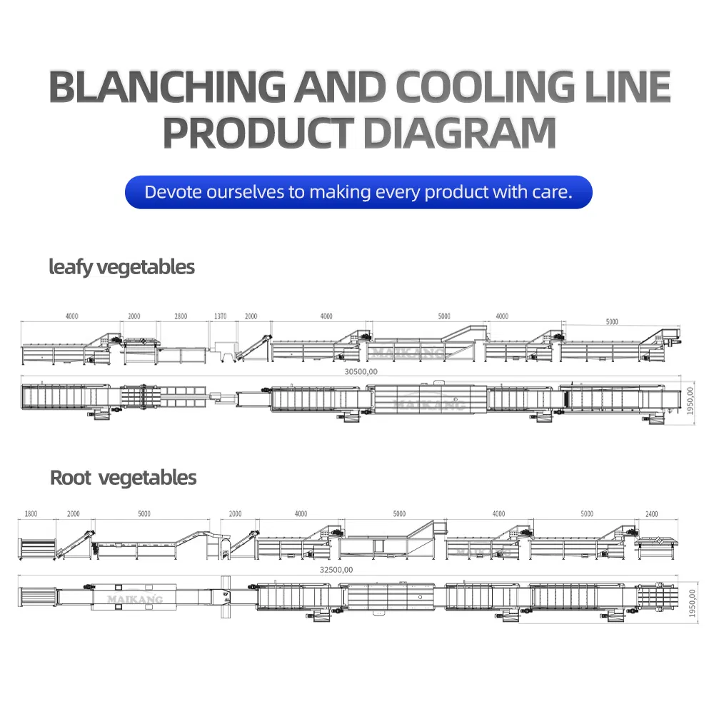 Heavy Duty Food Vegetable Cooking Steaming Line Thermal Blanching Boiler Steam Bleacher Machine for Onion Carrot Cucumber Processing Plant Factory Use