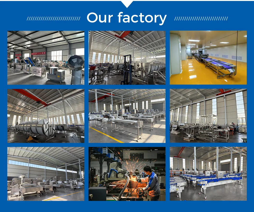 Citrus Cleaning Machine for Superior Various Potato Carrot Cassava Preparation Processes