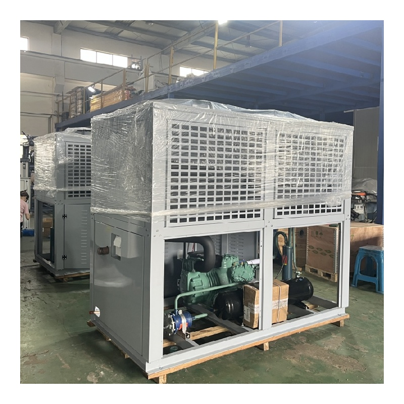 Famous Brand 8HP Blast Freezer Compressor Condensing Units Cold Room Refrigeration System
