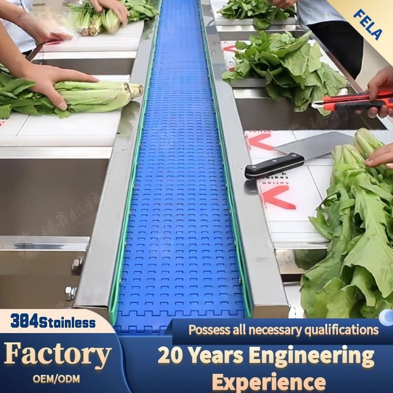 Premium Vegetable Cutting and Sorting Worktable for Efficient Food Prep