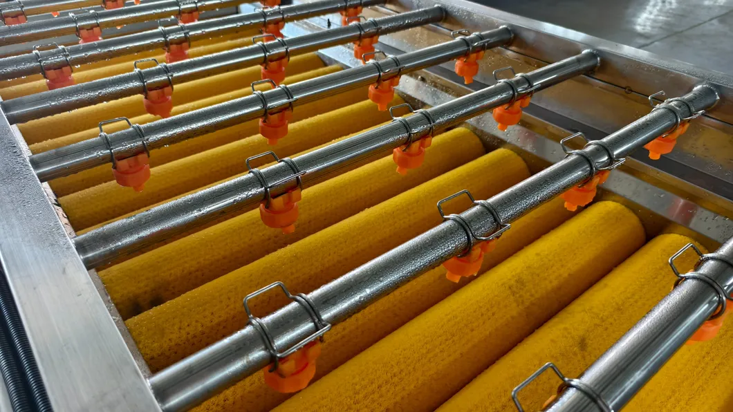 Citrus Cleaning Machine for Superior Various Potato Carrot Cassava Preparation Processes