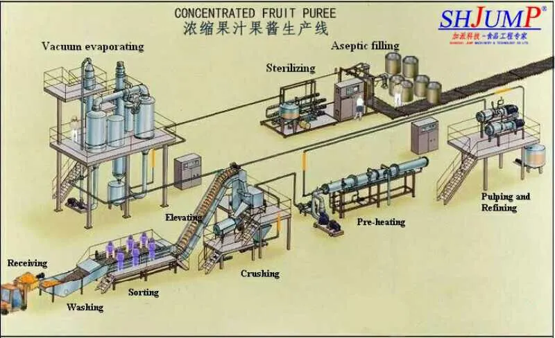 Processing Flow Chart