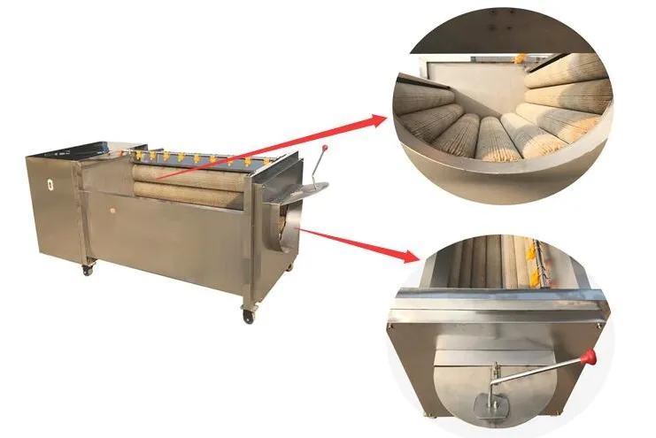Brush Roller Oysters Scallops Cleaning Machinery Scallop Washing Machine Cleaner
