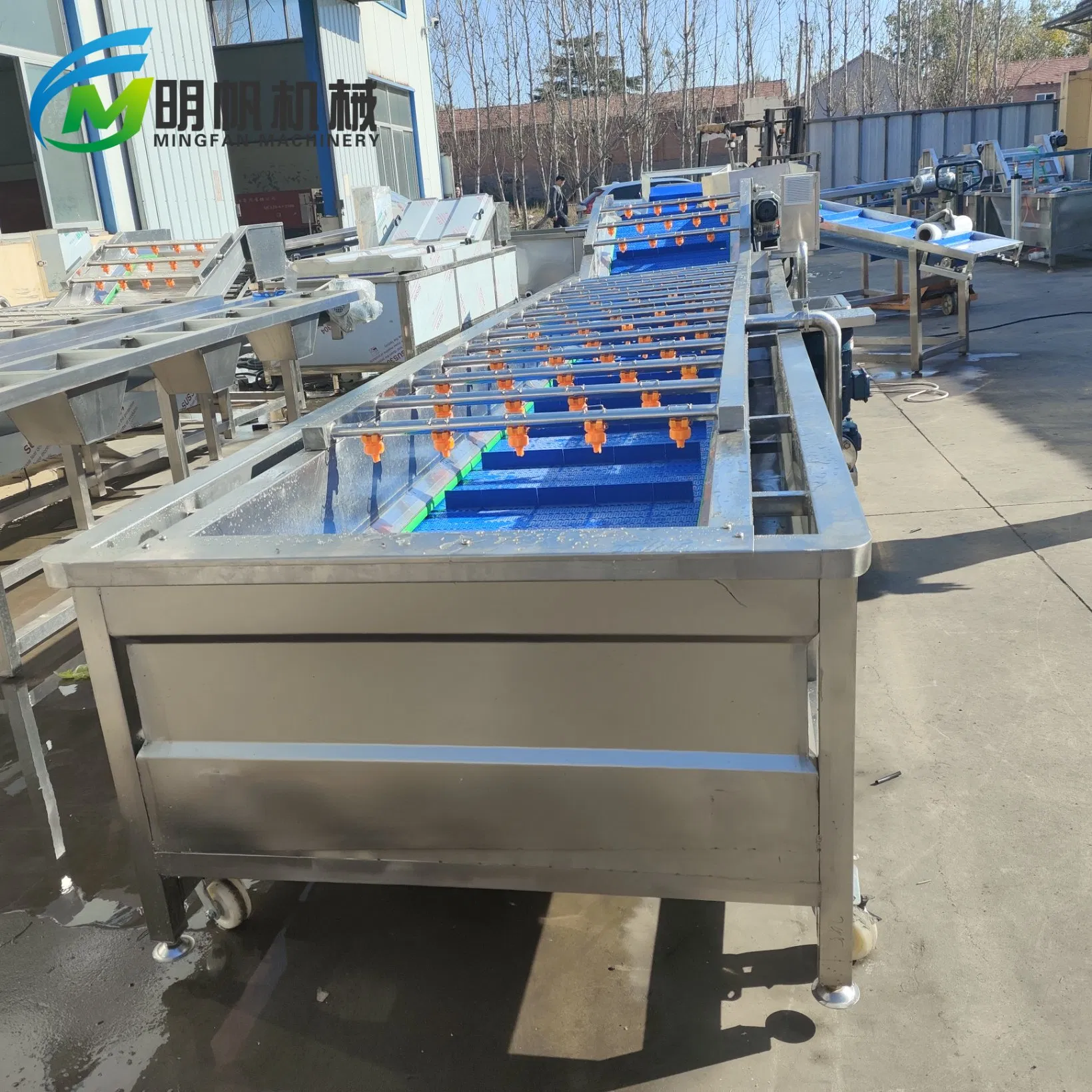 Bubble Washing Equipment for Sushi-Grade Fish and Raw Fish Preparation