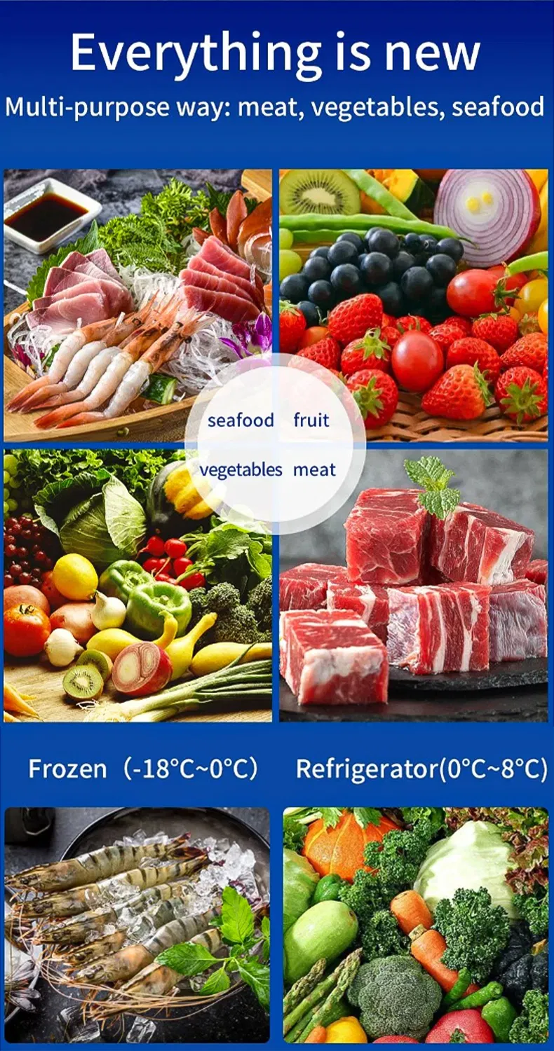 Premium Stainless Steel Under Counter Chiller Dimension Details