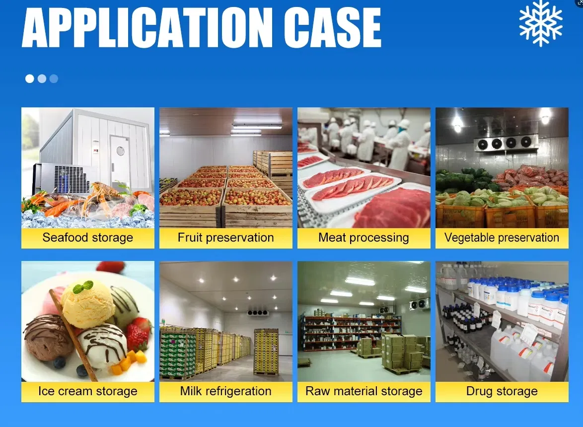 Cold Room Storage and Freezer Room Application Overview